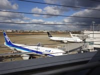 福岡出張は1泊2日のLCCでの飛行機往復旅　1月31日、2月1日