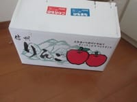 信州リンゴ