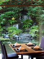 ◆◇◆都会のオアシスで日本庭園を眺めながらランチ◆◇◆
