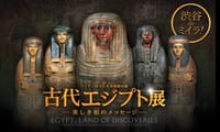 渋谷でミイラ！　渋谷で「古代エジプト展」　ミイラや棺など200点以上展示　＆しゃぶしゃぶ食べ放題