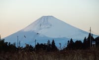 娘のopenする店舗の近くからの富士山の画像
