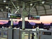 写真３枚は、二子玉川駅と夕暮れの富士山、エナガ、ハナミズキの実