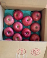 リンゴふじと干し柿