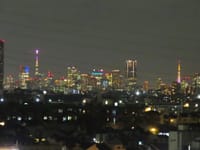 東京の夜景、ラショウモンカズラ、桜と田園調布駅