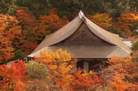 南禅寺の紅葉