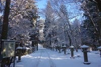 雪の愛宕山を水尾コース(雪が少なく中止)