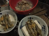 🎶マテ貝、蛤、アケミ貝〜春の大漁祭りの巻♩