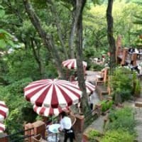 【晴歩】葛原岡・大仏ハイクから極楽寺へ　樹ガーデンと高台の隠れ家スリランカ料理