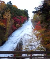 紅葉の奥日光▪湯滝へ行こう❗　戦場ヶ原、竜頭の滝、中禅寺湖、いろは坂の秋もたっぷりと