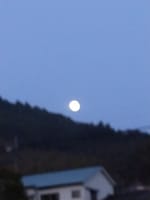 １２月２８日（木）朝満月