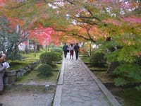 京都の紅葉（京都府南部）