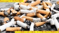 「タバコの吸殻ポイ捨ての結末、リアウ州の男は今や刑務所行き」”Gara-gara Puntung Rokok, Pria di Kepri Kini Meringkuk di Penjara”