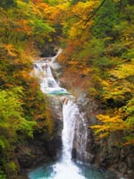 国内屈指の渓谷美★西沢渓谷の紅葉を楽しみます♪