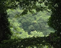 雑踏など無縁の緑の風の通る古都鎌倉&鎌倉古道