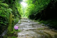 鎌倉らしい景観「切通し」と美しき竹林を巡る