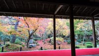 圓光寺と秋の京歩き、