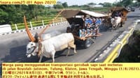 画像シリーズ432「牛車による伝統的な輸送」”Transportasi Tradisional Gerobak Sapi”