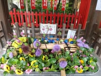 上野にある下谷神社の花手水🌸7月バージョン🎋