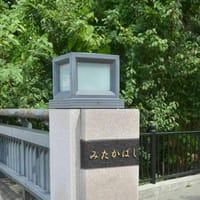 新緑散歩 ＆ DVD鑑賞会（VOL.14  24時着 00時発）