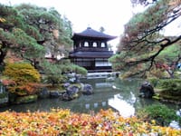 京都、哲学の道