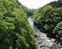 催行中止　☆　少し　遠くへ行きたい　高津戸峡で森林浴（いつか行ってみたいところから　今日行ってみたいところに変わりました・・・この渓谷は）