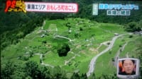 （企画。日時未定）日本のマチュピチュ「天空の茶畑」
