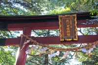 神社めぐり：氷川女体神社（埼玉県さいたま市）