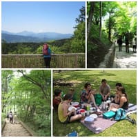 23金曜に変更・近場の山でピクニック、高尾山で緑を満喫