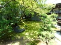 仁和寺の苔の庭