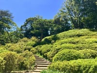 日本庭園での一番の大物。築山