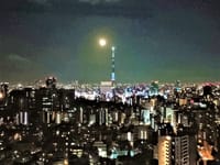 写真３枚は、スマホで撮った満月とスカイツリー、昭和記念公園のレモンブライト、トケイソウ