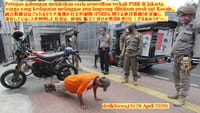 画像シリーズ98「もうやるな！大規模の社会的制限 (PSBB) 違反者は腕立て伏せの懲罰を受ける」”Biar Kapok! Pelanggar PSBB Dihukum Push Up”
