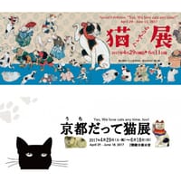 京都文化博物館で「いつだって猫展」を鑑賞してから、猫カフェ「ねこ会議」へ猫ちゃんの写真、撮りに行きましょう！