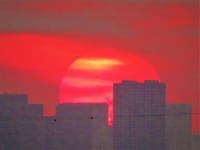 高層ビルからの日の出、新作八幡宮から撮った日の出の太陽、二子玉川駅からの夕景