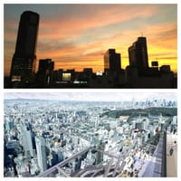 sunset【渋谷】230mの絶景展望台「SHIBUYA SKY」