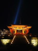 春の京都旅・清水寺ライトアップ