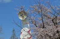 8万本のチューリップが咲き誇る万博記念公園