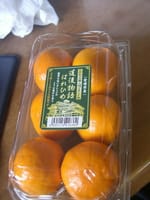 柑橘　みかん　はれひめ　旬の味