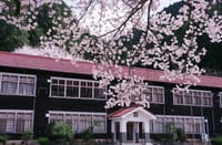 郷愁～桜の学び舎