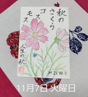 母の絵手紙　秋桜