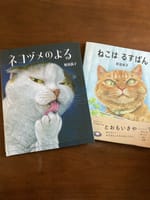 猫の絵本
