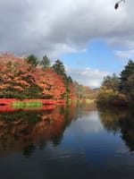 軽井沢雲場池の紅葉と小諸散策
