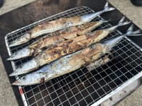 秋の味覚(⌒‐⌒)秋刀魚に戻り鰹