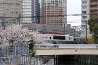 写真は、桜、成田エクスプレス、山手線、池上線五反田駅と桜、駒沢オリンピック公園の桜