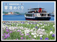 "YOKOSUKA軍艦巡り"と菖蒲園に行ってみませんか