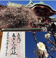 東京下町の梅を見て、歩こう～！！【甘党の人も、チョット喜ぶ～(^J^)