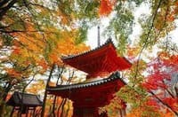 秋の遠足〰️牛滝さんの紅葉と温泉〰️