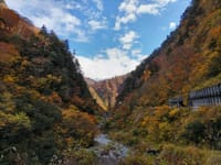 黒部峡谷トロッコ列車　松本城　四柱神社　ドライブ
