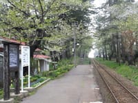 写真は、６年前の津軽鉄道芦野公園駅、弘前城の枝垂れ桜、弘前城の花筏