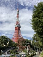 11/23(水) スカイホップツアー〜東京タワーに登るゾ&ベイブリッジ夜景観光